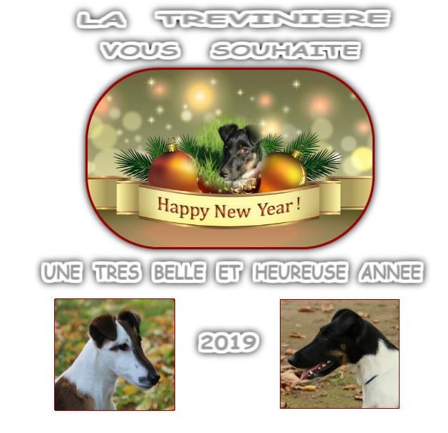 de la Treviniere - BONNE ANNEE 2019