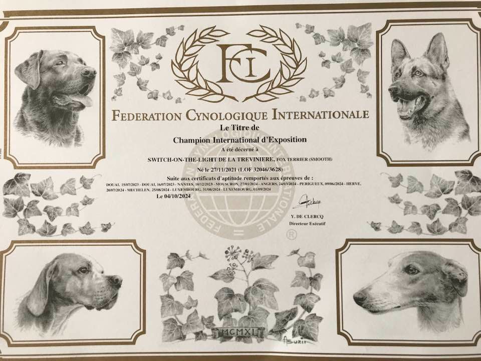 de la Treviniere - CHAMPION INTERNATIONAL D'EXPOSITION