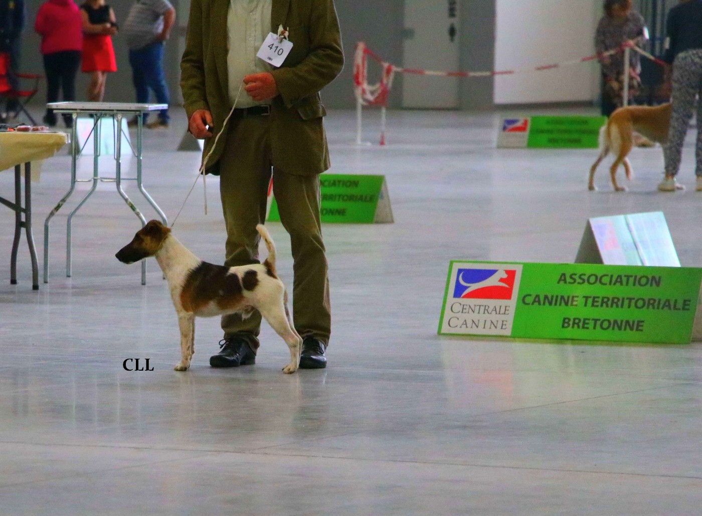 Tréo fall de kernanouet