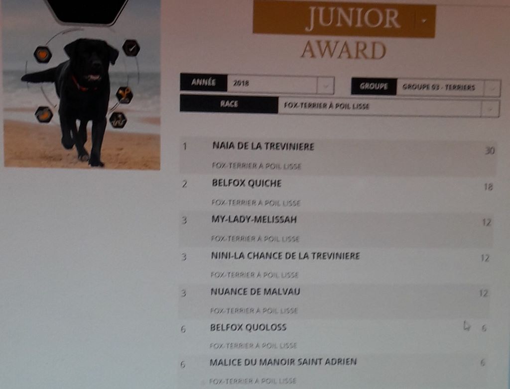 de la Treviniere - palmares des fox-terriers de la treviniere 2018
