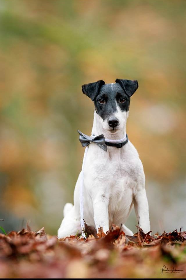 EXPOSITION INTERNATIONALE DE NANTES 2025