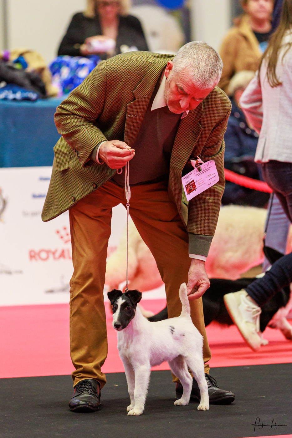 de la Treviniere - APPOLLON DE LA TREVINIERE