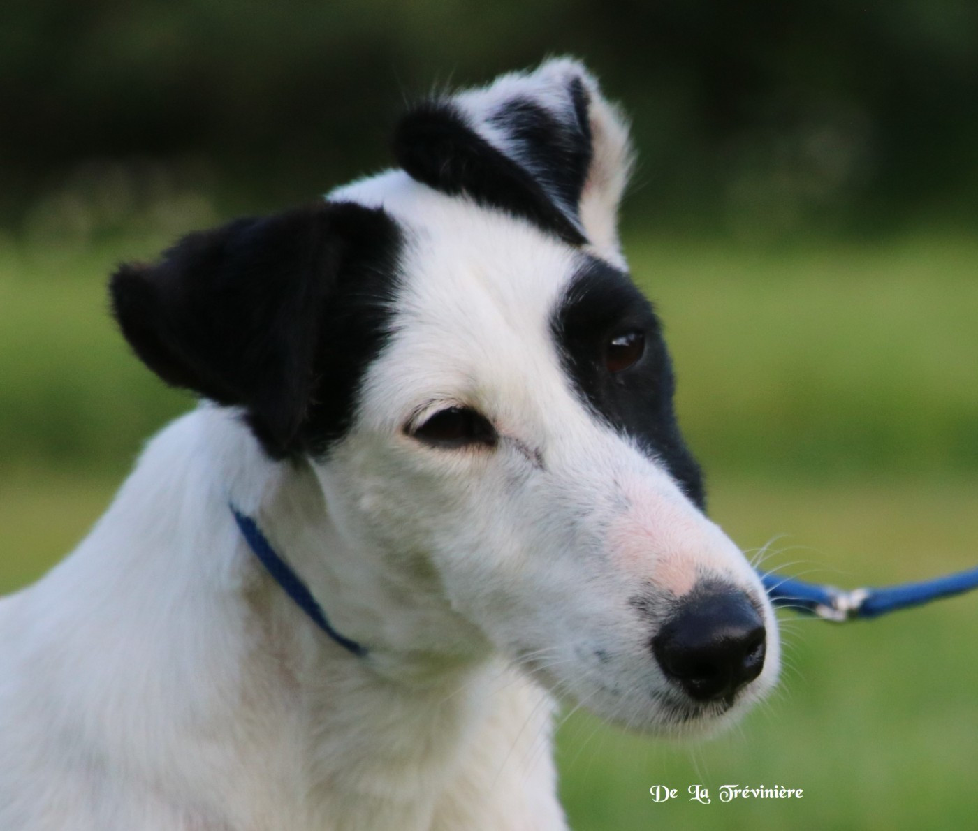 EXPOSITION CAC DE NANTES 2025