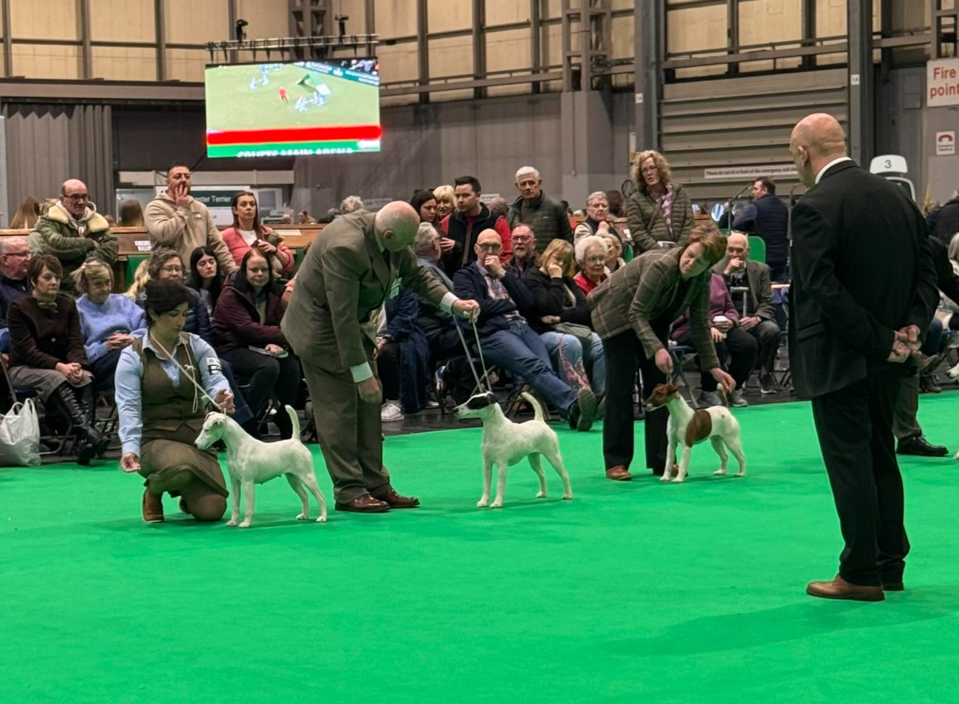 Au Crufts