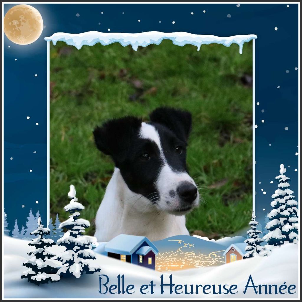 de la Treviniere - BELLE ET HEUREUSE ANNEE 2024