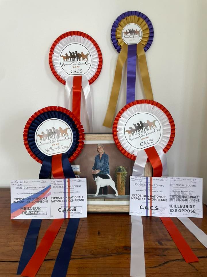 EXPOSITION MARGNY LE COMPIEGNE 06 ET 07/09