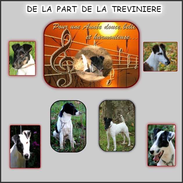 de la Treviniere - Une année 2021 plus harmonieuse