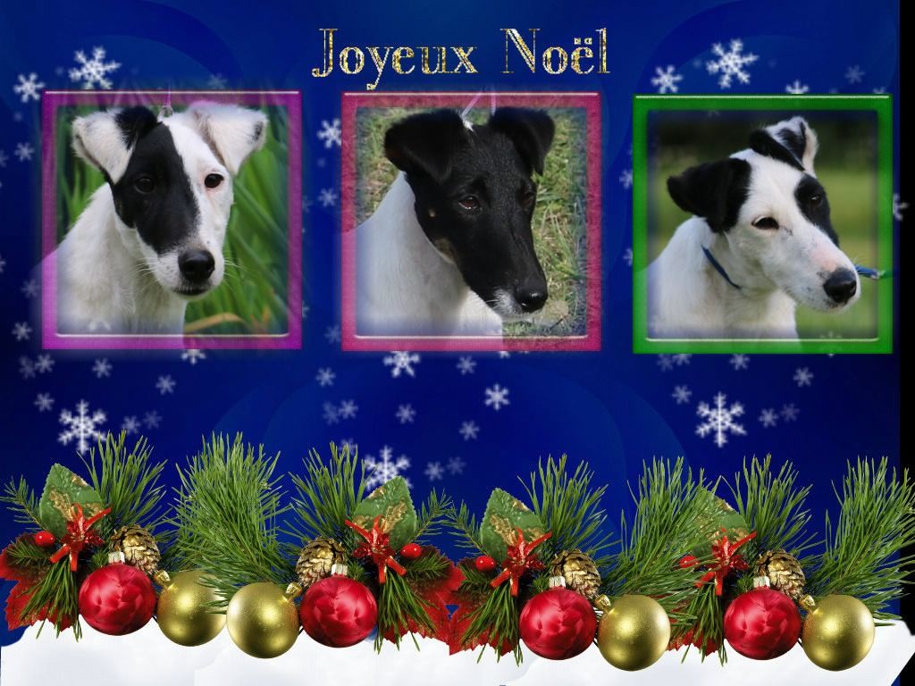 JOYEUX NOËL