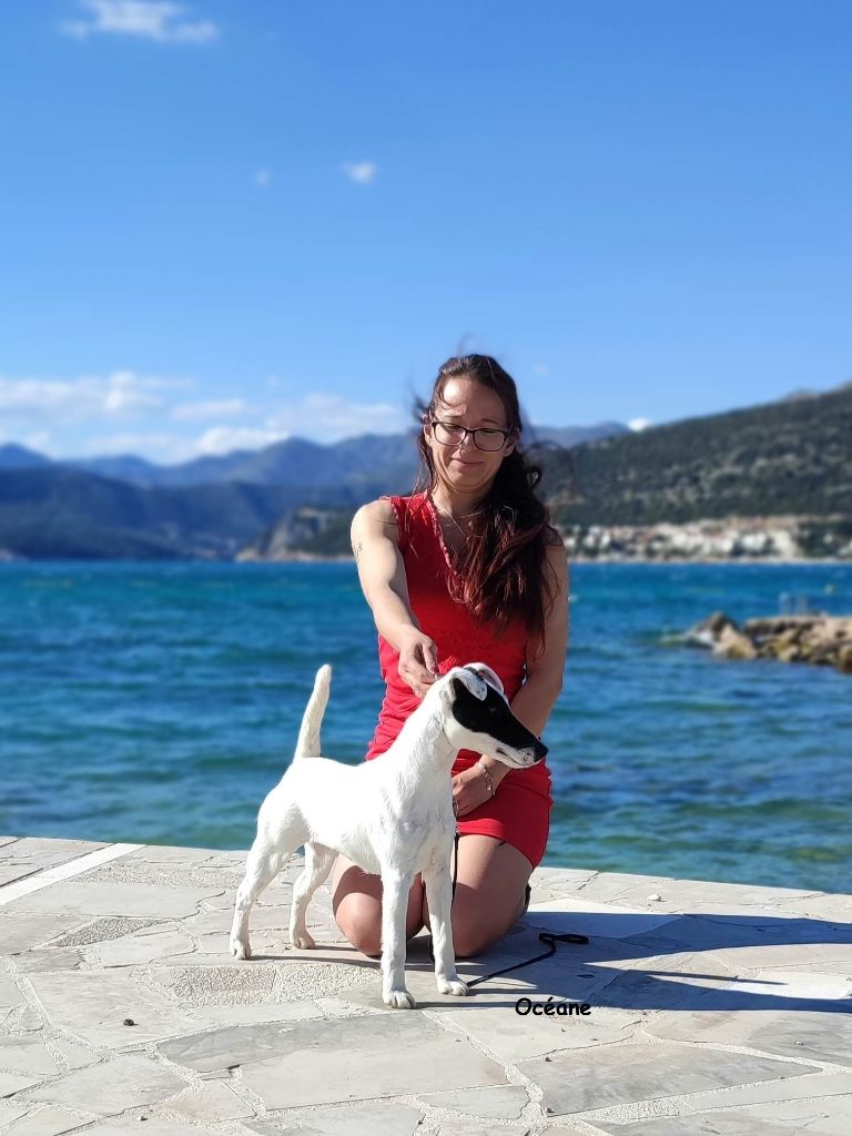de la Treviniere - CHAMPIONNE SPARTE LA DIVA de la treviniere EN CROATIE
