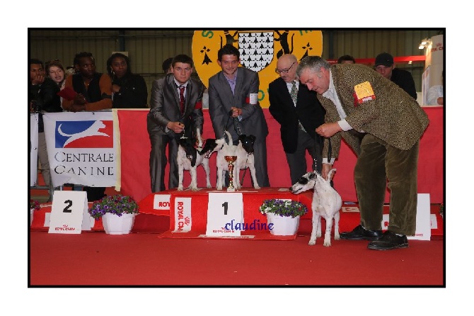 de la Treviniere - Le 08 Mai 2016 - Exposition internationale de St Brieuc
